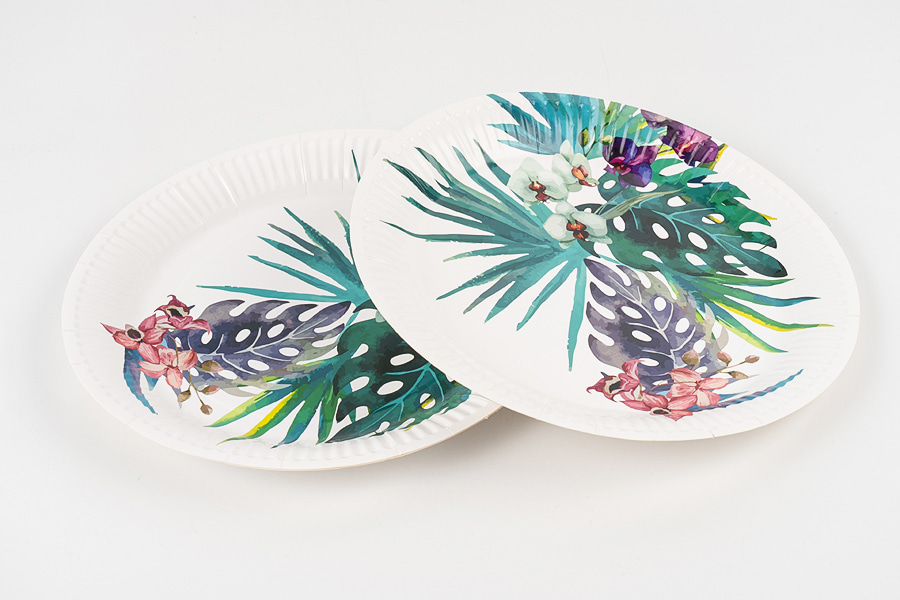Karaniwang Round Paper Plate